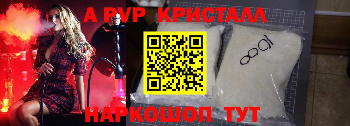 A PVP СК КРИС Славгород