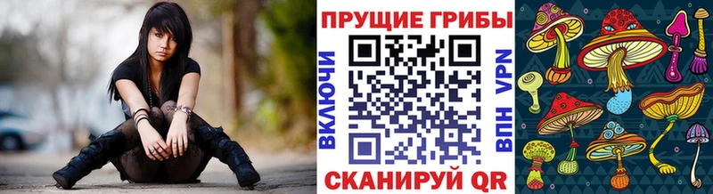 Псилоцибиновые грибы Cubensis  Славгород 