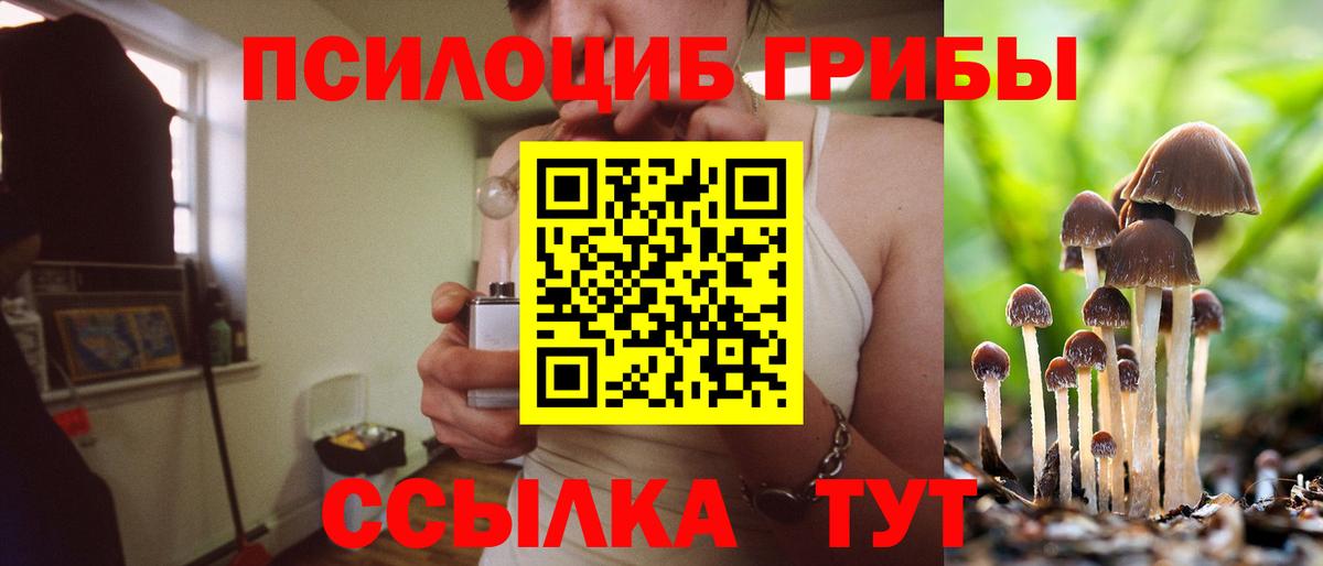 Галлюциногенные грибы прущие грибы  Вход с VPN  Славгород 